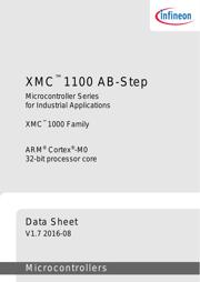 XMC1100-Q024F0016 AB 数据规格书 3