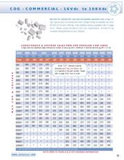 0603N100J500P datasheet.datasheet_page 2