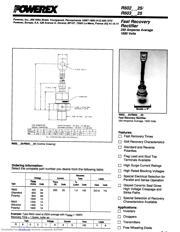 R6030225HSYA datasheet.datasheet_page 1