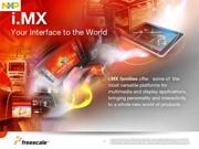 MCIMX6X3CVN08AB 数据规格书 2