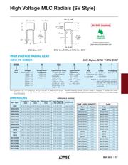 SV09AC105KAR datasheet.datasheet_page 2