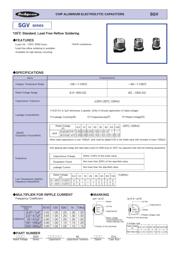 16SGV10M4X6.1 数据规格书 1