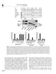 ICE3B3065P datasheet.datasheet_page 3