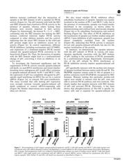 ICE3B3065P datasheet.datasheet_page 4