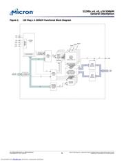 MT48LC32M16A2P-75:C datasheet.datasheet_page 6