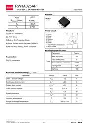 RW1A025APT2CR datasheet.datasheet_page 1