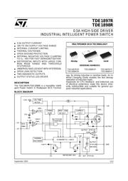 TDE1898RFPT datasheet.datasheet_page 1