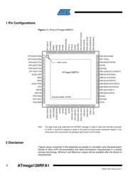 ATMEGA128RFA1 datasheet.datasheet_page 2