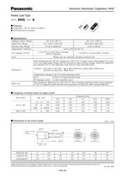 ECA-1JHG100B datasheet.datasheet_page 1