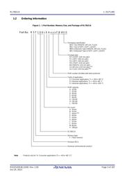 R5F104MFAFA#V0 datasheet.datasheet_page 3