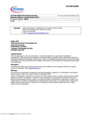 SLM 76CF3201P datasheet.datasheet_page 2