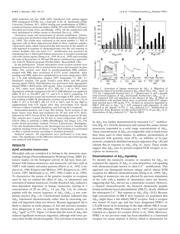 BQ51013BYFPR datasheet.datasheet_page 2