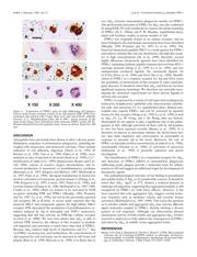 BQ51013BYFPR datasheet.datasheet_page 4