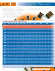 0805B103J500PW datasheet.datasheet_page 1