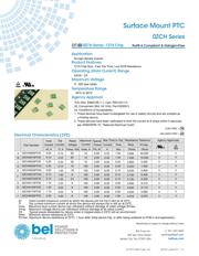 0ZCH0010FF2E datasheet.datasheet_page 1