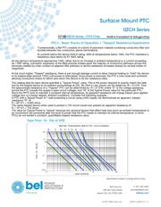 0ZCH0050FF2G datasheet.datasheet_page 2