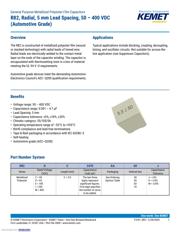 R82EC4100DQ70J datasheet.datasheet_page 1