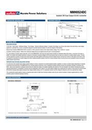 NMH0524DC datasheet.datasheet_page 2