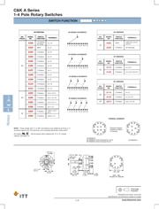 A20615RNZQ datasheet.datasheet_page 2