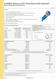 Q12P1BXXG24E datasheet.datasheet_page 1