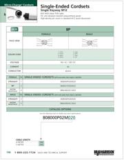 808006P02M020 datasheet.datasheet_page 1