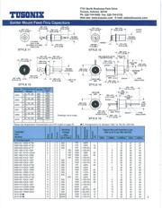 4300-003 datasheet.datasheet_page 2