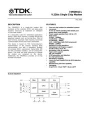 73M2901CLIH datasheet.datasheet_page 1