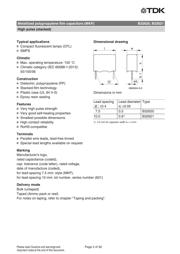 B32620A5104K189 datasheet.datasheet_page 2