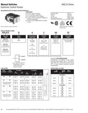AML21CBA3BA datasheet.datasheet_page 6