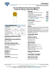 VY2102M29Y5US63V0 datasheet.datasheet_page 1