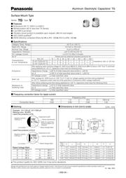 EEE-TG1J101UP 数据规格书 1