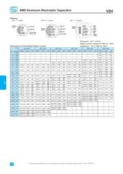 VZH-331M1ATR-0810 datasheet.datasheet_page 2