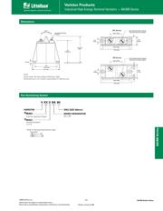 V172BB60 数据规格书 5