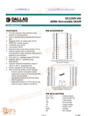 DS1250AB-100 datasheet.datasheet_page 1