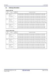 R5F110PJAFB#30 datasheet.datasheet_page 3