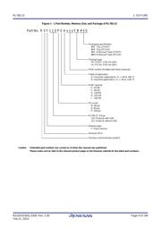 R5F110PJAFB#30 datasheet.datasheet_page 4