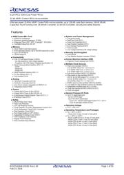 R7FS124773A01CNF#AC0 datasheet.datasheet_page 1