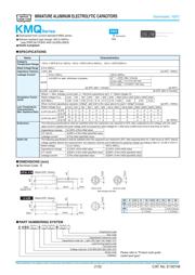 EEUFC1J101L 数据规格书 1