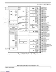 MCF51AC256BCLKE datasheet.datasheet_page 5