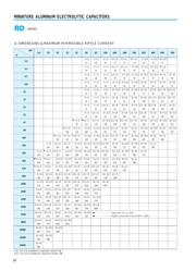 RD1E107M6L011BB datasheet.datasheet_page 2