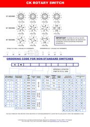 CK1029 datasheet.datasheet_page 2