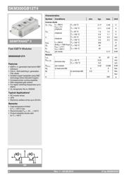 SKM 300 GB 12T4 数据规格书 2