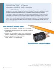 V7-6C17D8-439 datasheet.datasheet_page 2