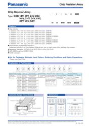 EXB2HV393JV datasheet.datasheet_page 1