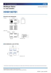 HHM1907B1 datasheet.datasheet_page 2