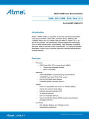 ATSAML21E18B-AUT datasheet.datasheet_page 1