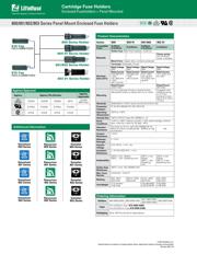 80000000005 datasheet.datasheet_page 1