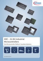 XMC4400F100K512AB 数据规格书 1