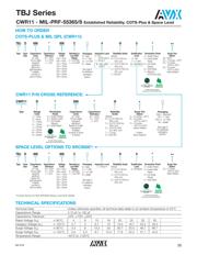 CWR11HC226KBA datasheet.datasheet_page 2