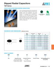 TAP106K025CCS datasheet.datasheet_page 2